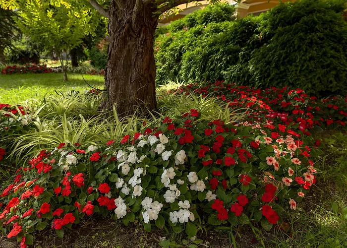 Menada Grand Апартаменты Ахелой