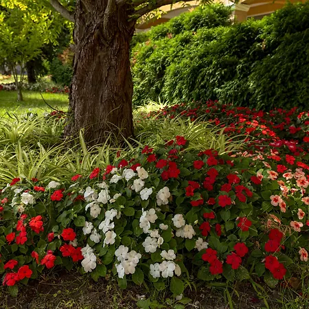 Menada Grand شقة أهيلوي