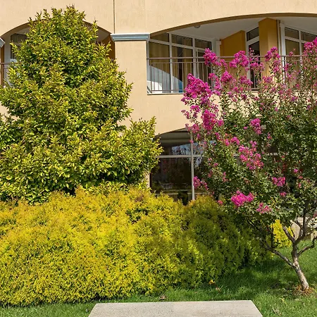 Menada Grand أهيلوي